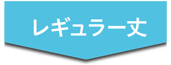 レギュラー丈